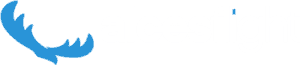 alcesflight logo horz text